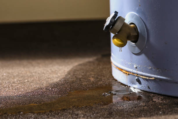 Best Water damage restoration insurance claims  in Wahpeton, ND