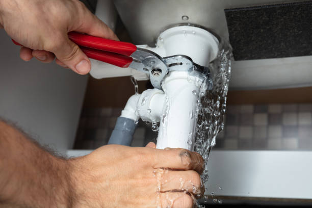 Best Residential water damage restoration  in Wahpeton, ND