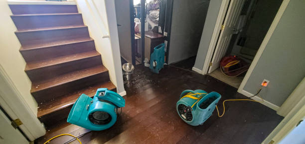 Best Water damage restoration near me  in Wahpeton, ND