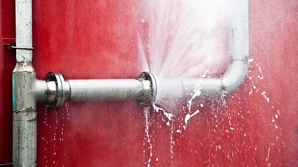 Best Flood restoration services  in Wahpeton, ND